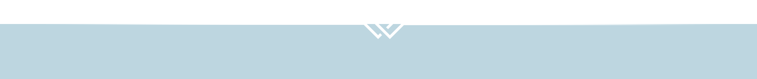 champion hunters tokenomics